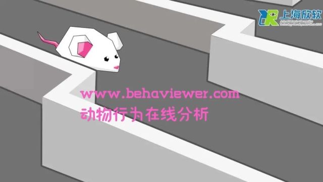 脑声推荐丨Behaviewer动物行为在线分析网站V1.1版即将更新(目前1.0内测开放中)