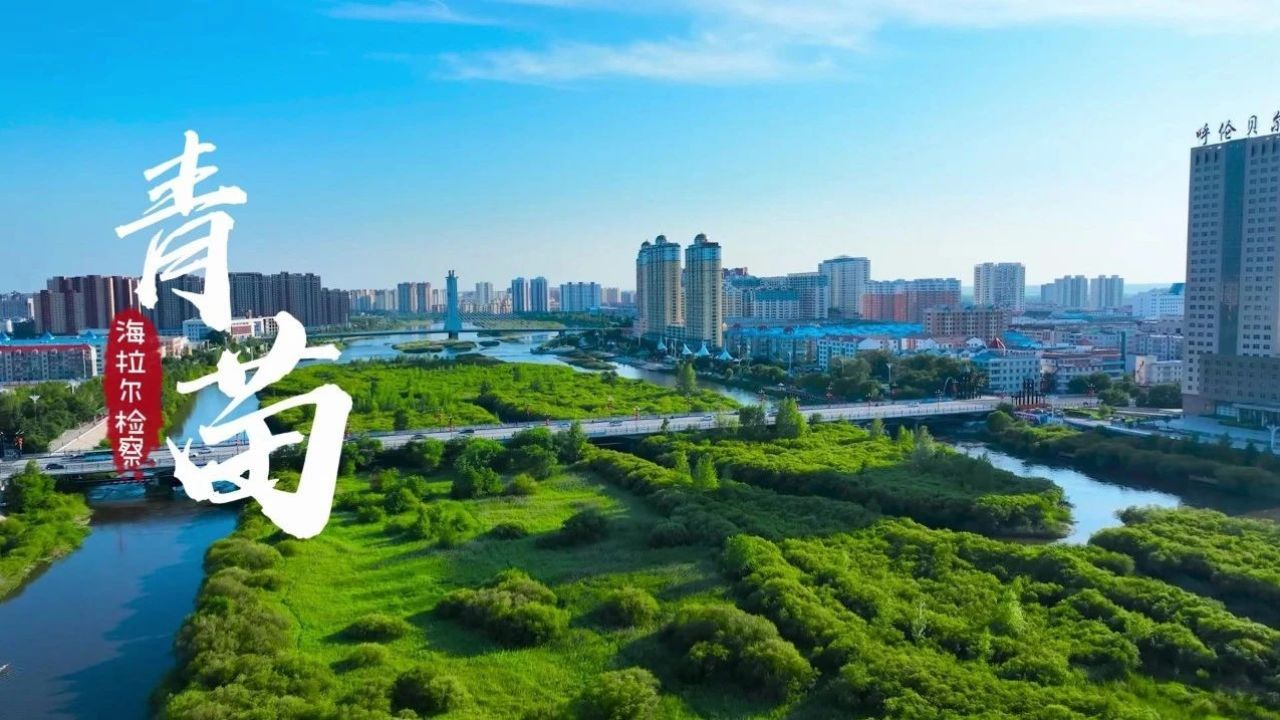 青苗未检 | 海拉尔区检察院《青苗》mv温暖上线!