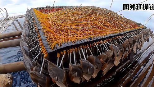 乌贼做饵挂延绳钓,沉海底珊瑚区钓老虎斑,看国外渔民的海钓技术