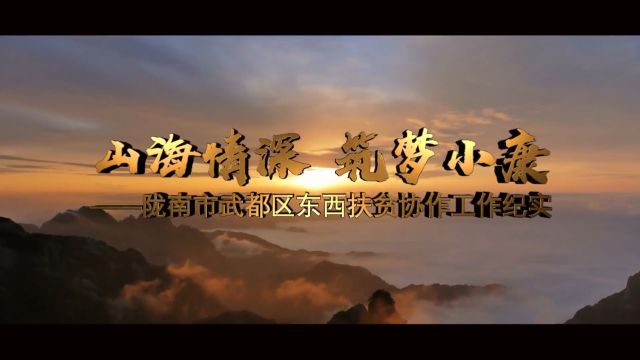 陇南市武都区扶贫工作纪实 梵曲配音