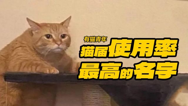 盘点!猫届被使用最多的名字!