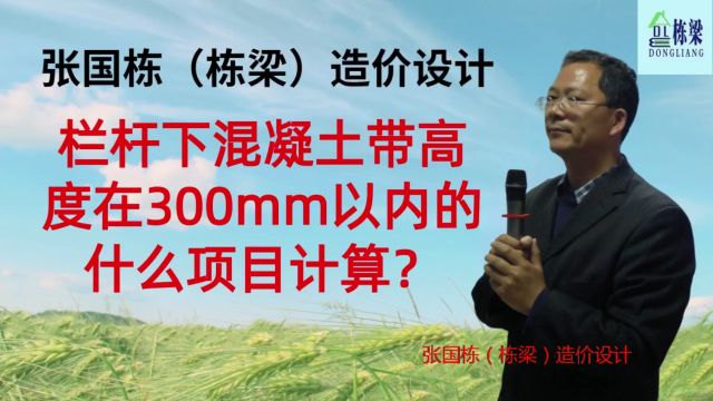 张国栋(栋梁)造价设计:栏杆下混凝土带高度在300mm以内的按什么项目计算?