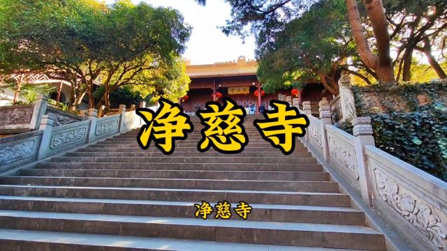 杭州有许多的寺院,但杭州仅有的一座皇家寺院,你知道是哪里吗?