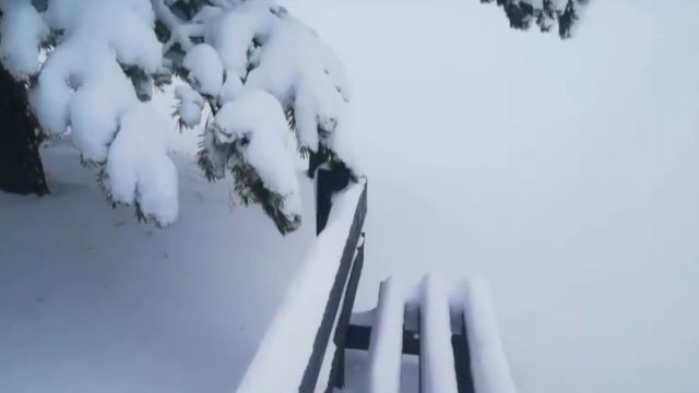 北方多地遭遇暴雪,河北出现降雪天气,高速交通受影响