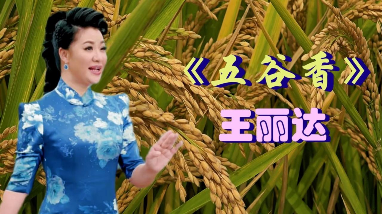 王丽达演唱《五谷香》一米渡三关记心房,丰年莫把灾年忘.
