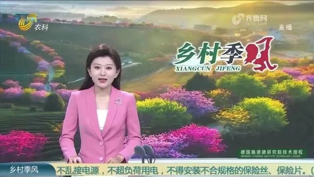 信发四部曲:用工业思维做现代农业