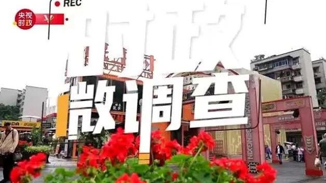 时政微调查丨民主村记忆