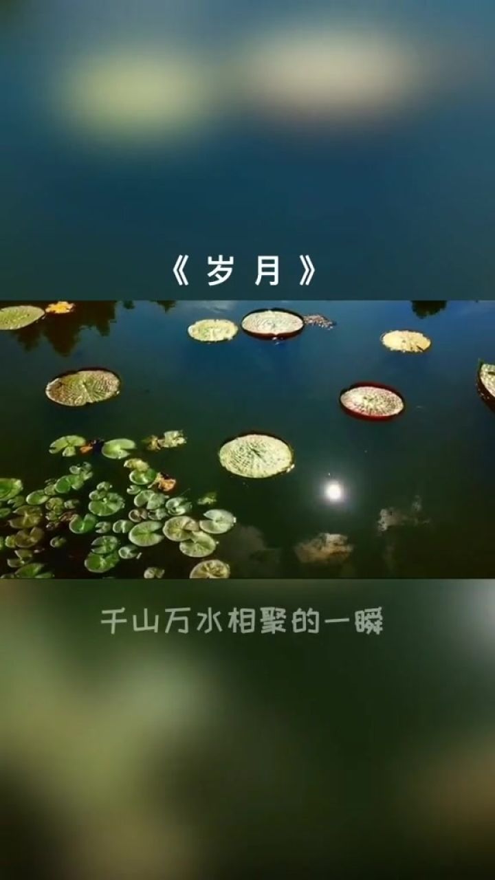 时光如水,岁月无声,谢谢你曾带给我的惊喜,温暖与感动.#告别2019