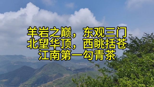 羊岩之巅东观三门北望华顶西眺括苍,出产江南名茶羊岩勾青