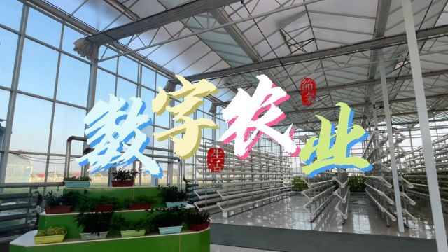 河南大学国际商学院英语短视频复赛“Smart Agriculture in Digital China (数字中国 智慧农业)” #数字中国#智慧农业#