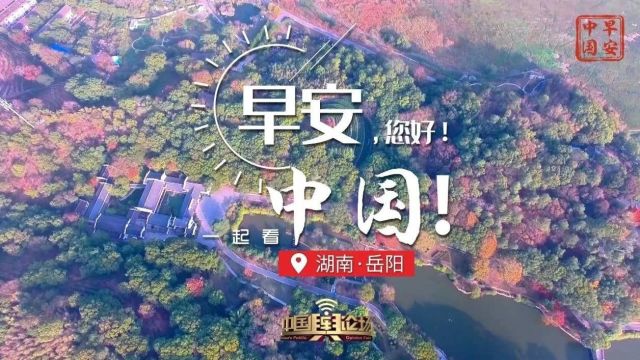 诗意岳阳 茶韵飘香