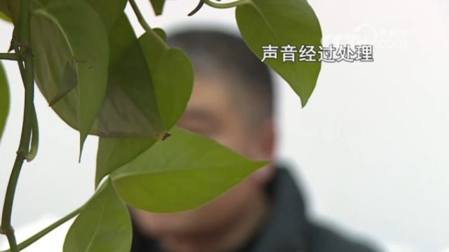 节外生枝的“好事”,本案中骗保金额如何认定