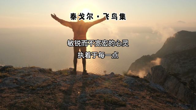 泰戈尔ⷮŠ飞鸟集50