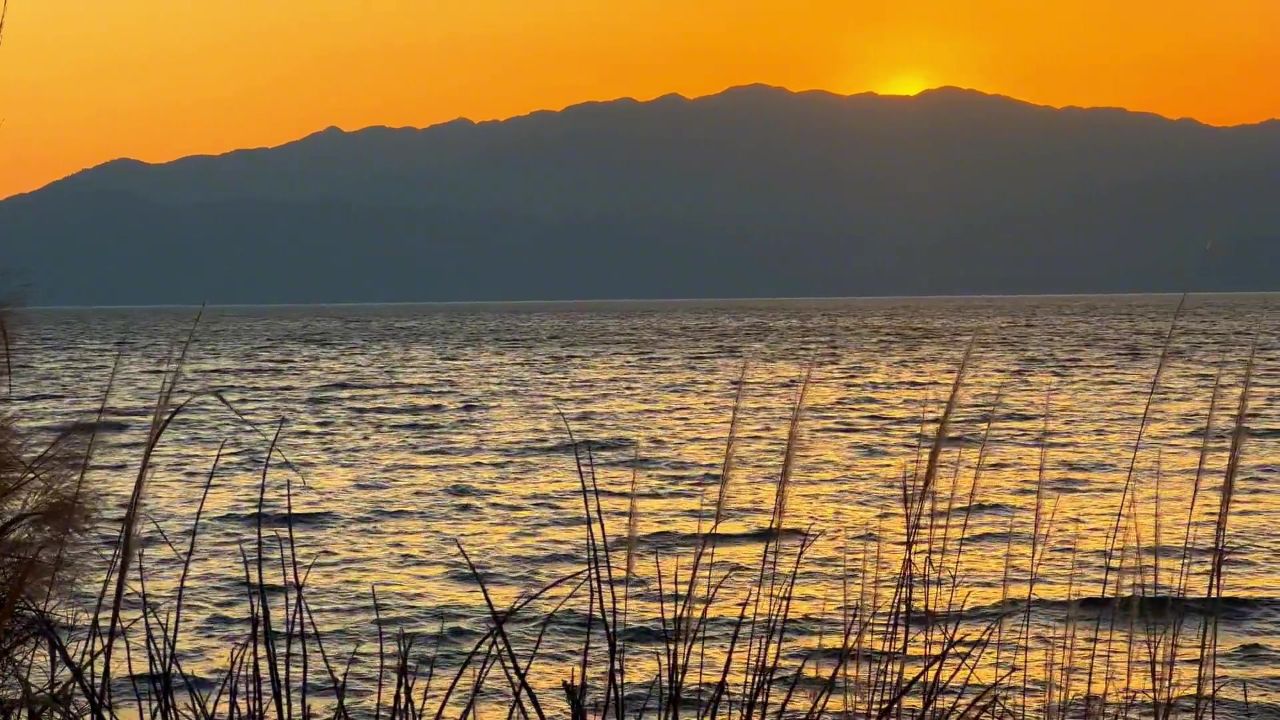 朋友圈不敢说的话就留在这吧