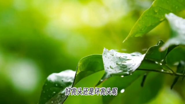 今日立夏,下雨是好还是不好?听听老祖宗怎么说