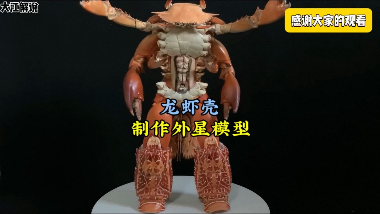 难以置信,一堆吃剩的龙虾壳经过创意拼接后,摇身一变千元模型