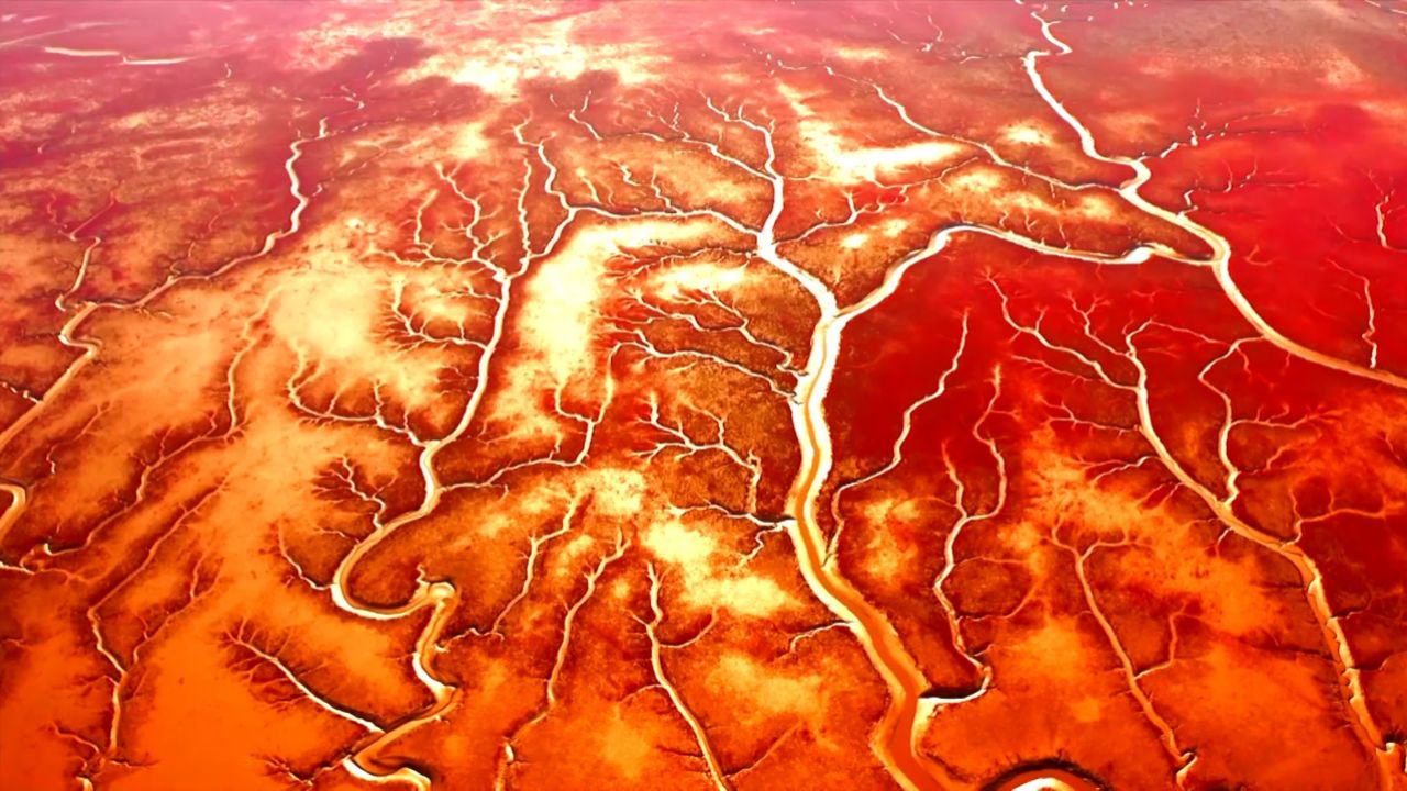 生态文明,美丽中国:辽宁红海滩