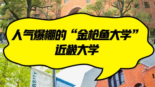 人气爆棚的“金枪鱼大学”,近畿大学