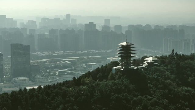 茂绿满繁枝,青梅结果时.五月超山,漫山遍野的青梅树挂满沉甸甸的果实让人陶醉.它不仅是果脯制作的原材料,也是酿酒的原料.曹操与刘备“青梅煮酒...