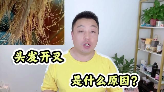 头发开叉是什么原因?教你一招,润泽发丝