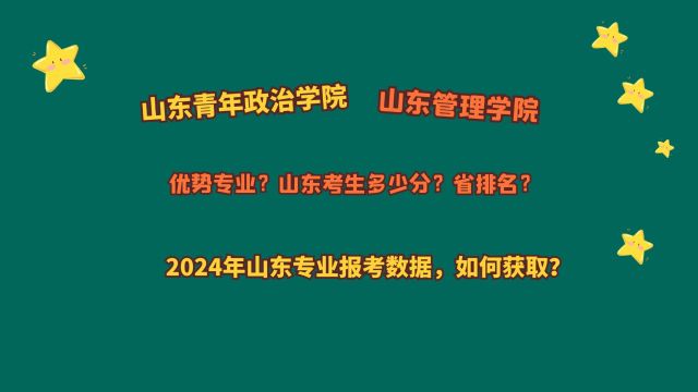 山东青年政治学院、山东管理学院,山东多少分?2024山东报考数据