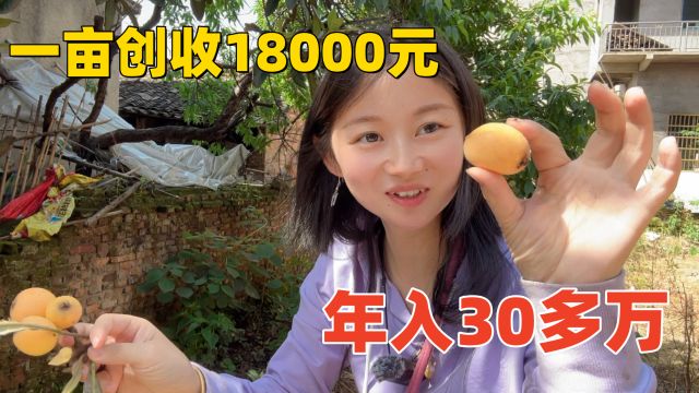 一亩地创收18000元,一年可连续种7个月,一次投入,年入达30多万