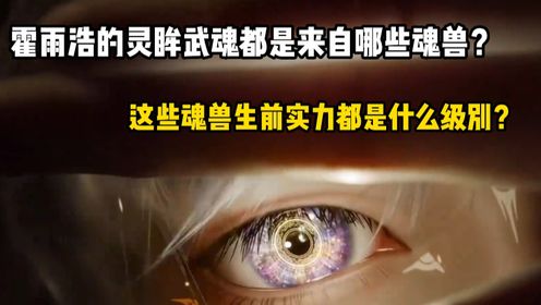 绝世唐门:霍雨浩的灵眸武魂其实有九大魂环,都来自哪些魂兽?他们生前的实力有多恐怖?_动漫_高清完整版视频在线观看_腾讯视频