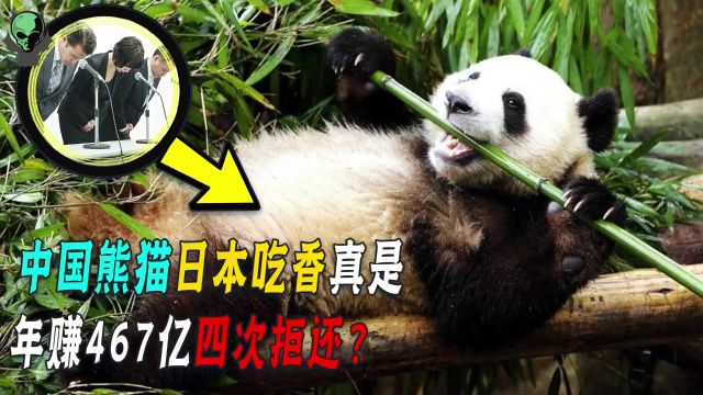 中国熊猫日本年赚267亿,对方延期四次拒还,真是因感情太深?