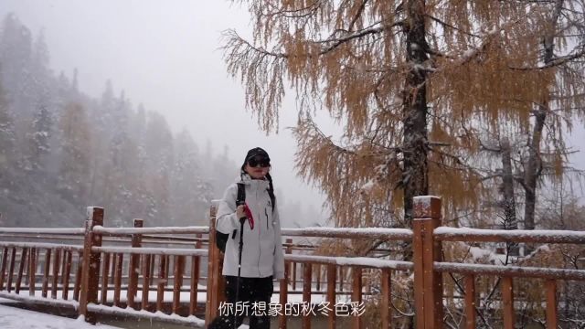 千里冰封,万里雪飘的景象你见过吗?这里是党岭,当白雪与彩林相汇,我见证了这个秋冬醉美的风景,这个冬天西藏等你