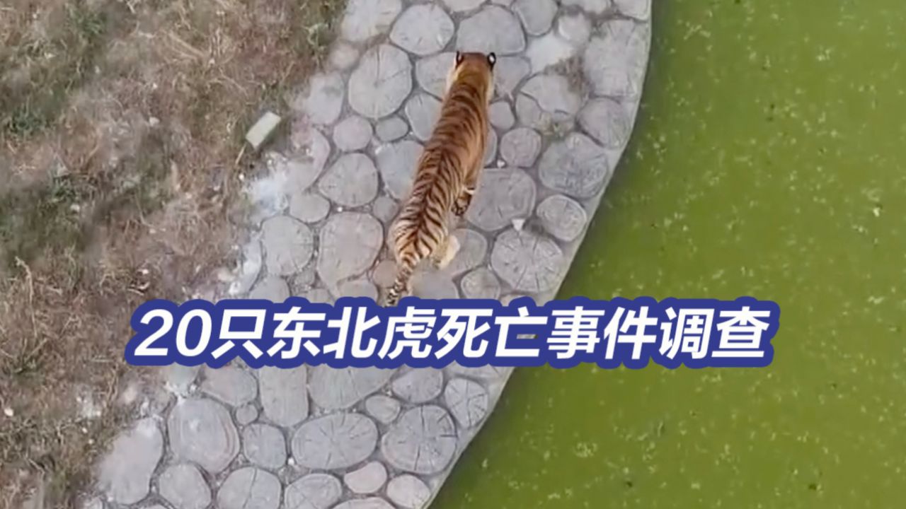 阜阳野生动物园5年间被发过5次整改通知
