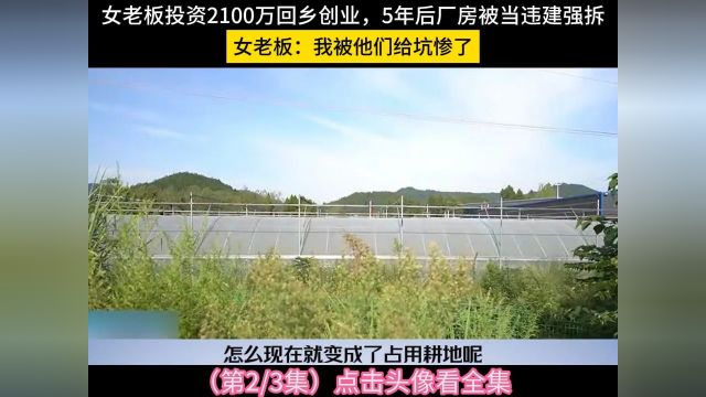 女老板投资2100万回乡创业,5年后厂房被当违建强拆,女老板:我被他们给坑惨了#社会#回乡创业#违建拆除 2