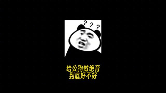 拒绝废话,给公狗做绝育到底好不好