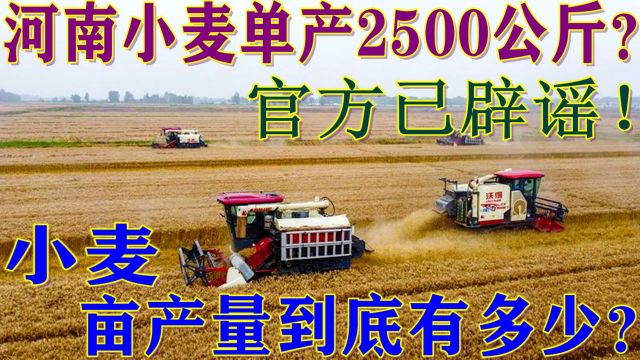 河南小麦单产2500公斤?官方已辟谣!小麦亩产量到底有多少?