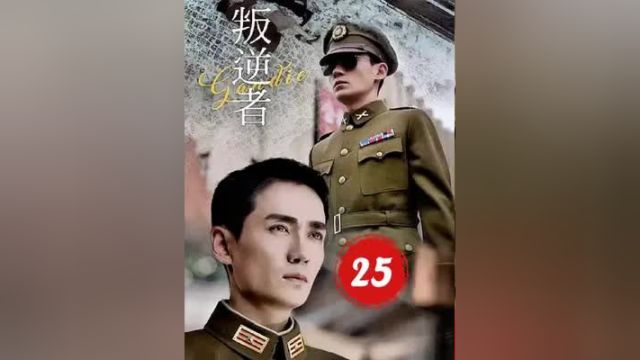 第25集:林楠笙刺杀陈默群未遂#影视解说