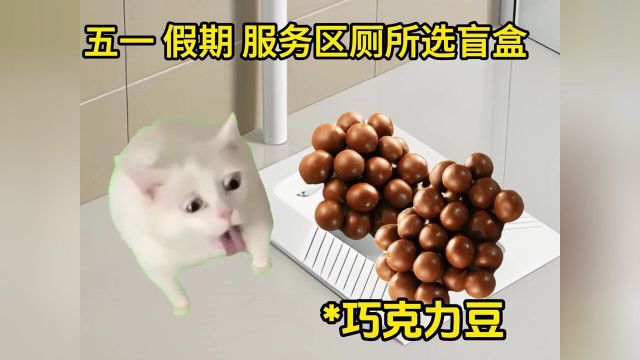 五一假期服务区厕所选盲盒#猫meme#香蕉猫#迷惑行为