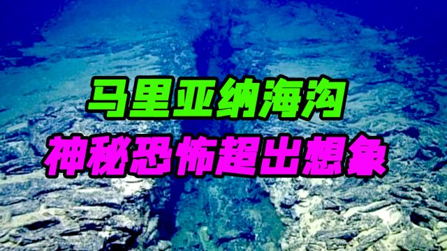 10000多米深的黑暗冰冷海底,压强大到吓人,居然存在大量生命!