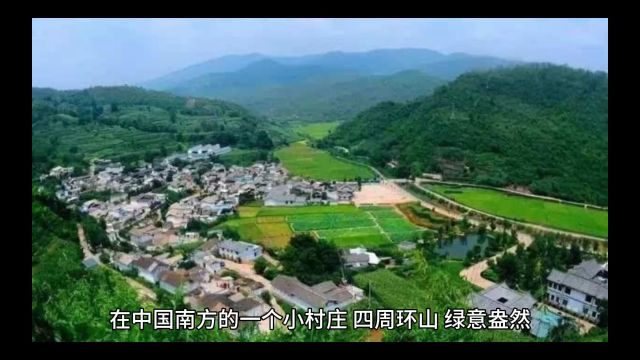 《橘香满园》匠心传承,橘香情深