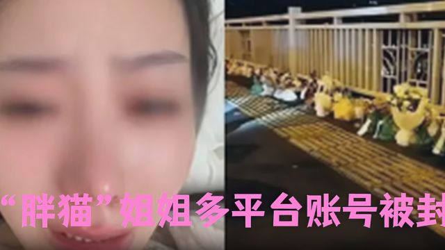 “胖猫”姐姐多平台账号被封,胖猫事件警方通报的3个关键点!