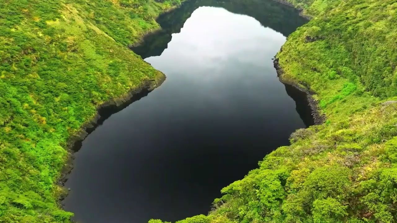 blackthedevil 你好 现场版伴奏 新说唱2024 和声伴奏