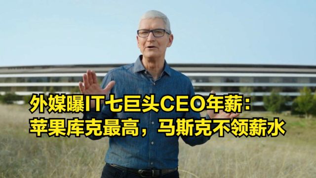 外媒曝IT七巨头CEO年薪:苹果库克高居榜首,马斯克不领薪水