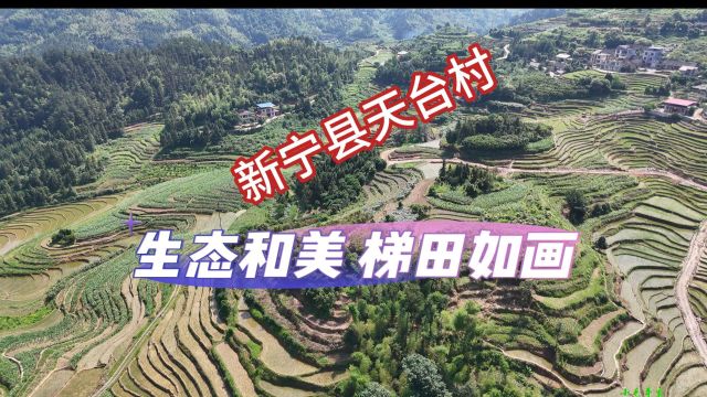 湖南新宁县天台村,生态和美, 梯田如画