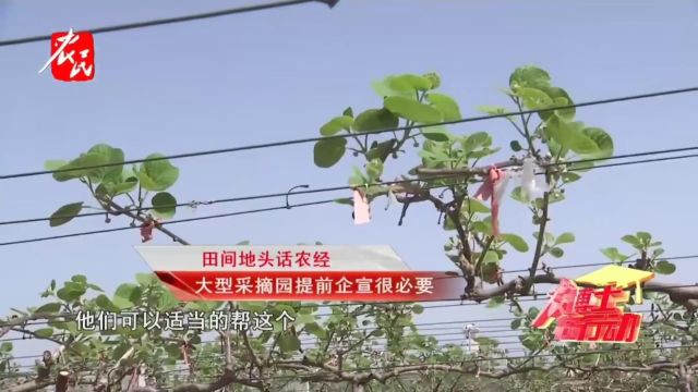 科技助农 | 大型采摘园 提前企宣很必要