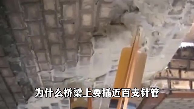 禁止废话.全球工作时间最长的是哪个国家?