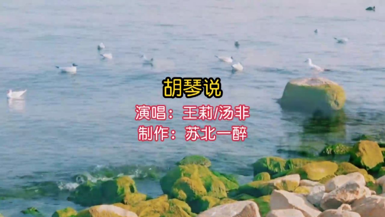 王莉/汤非演唱的经典老歌《胡琴说》,歌声深情感人,百听不厌.
