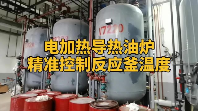 电加热导热油炉精准控制反应釜温度 欧能