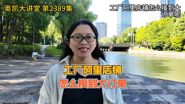 工厂阿里店铺怎么接到大订单呢? #阿里巴巴运营 #阿里培训陪跑 #1688运营 #1688运营培训 #宁波阿里陪跑