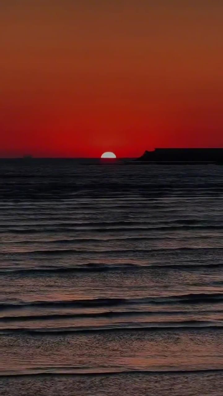 本应共白首 奈何情深已朽