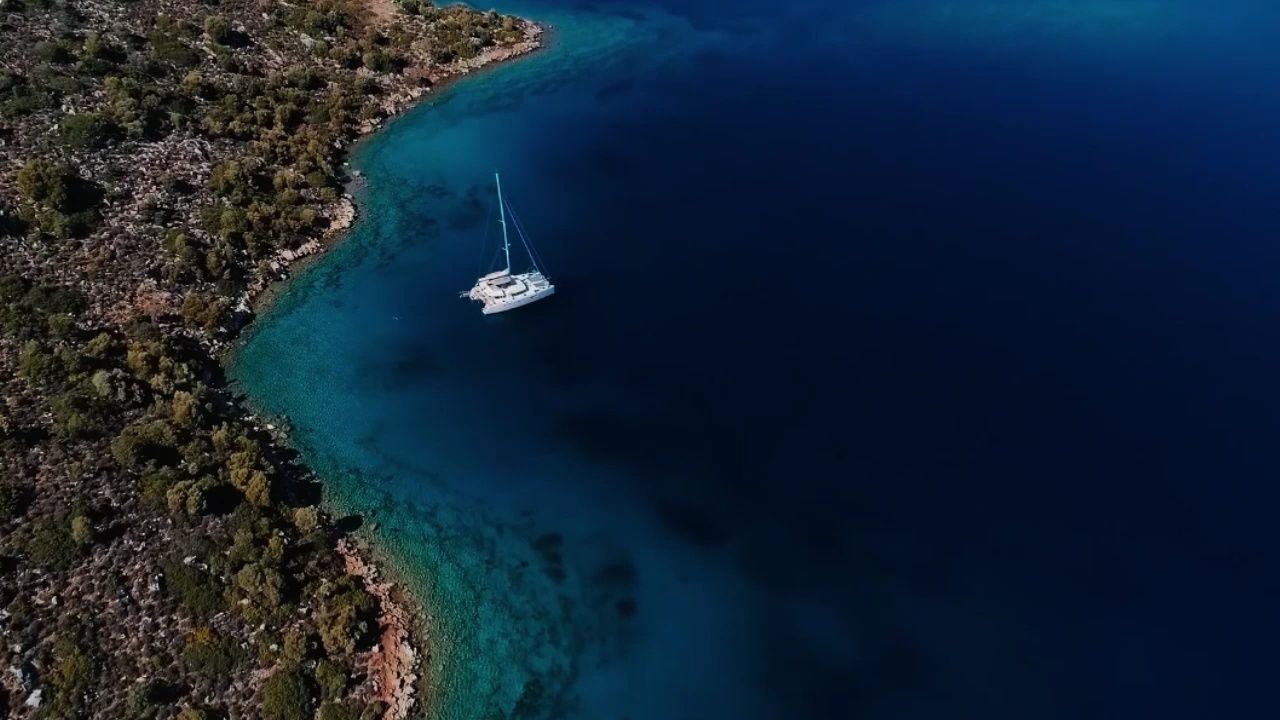 徐真真 瀑袭 伴奏 和声伴奏