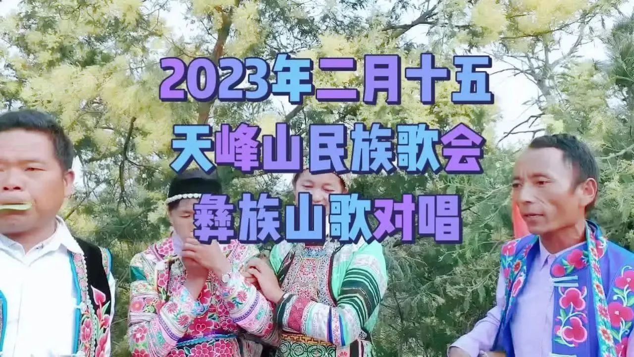 二月十五祥云天峰山歌会--彝族山歌对唱
