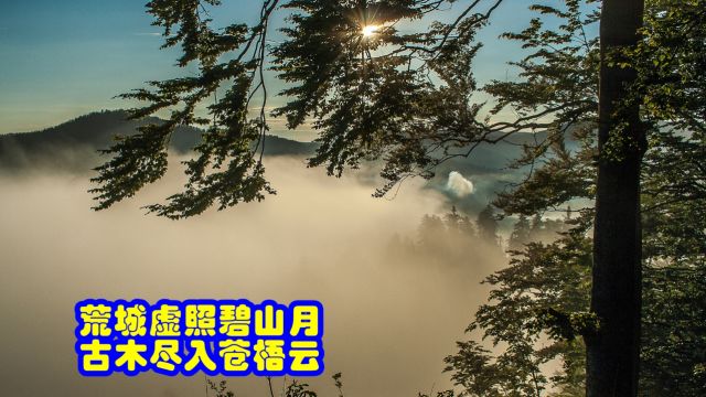 品唐诗鉴 荒城虚照碧山月 古木尽入苍梧云 李白 《梁园吟》